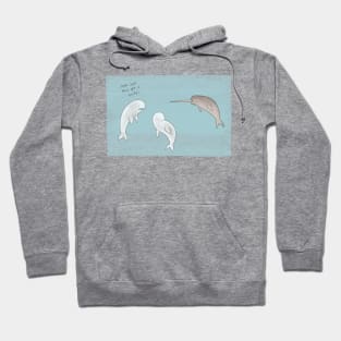 Narwhal Hoodie